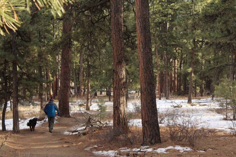 Omfamna Årstiderna: Skillnaden Mellan Vinter- och Sommarcamping