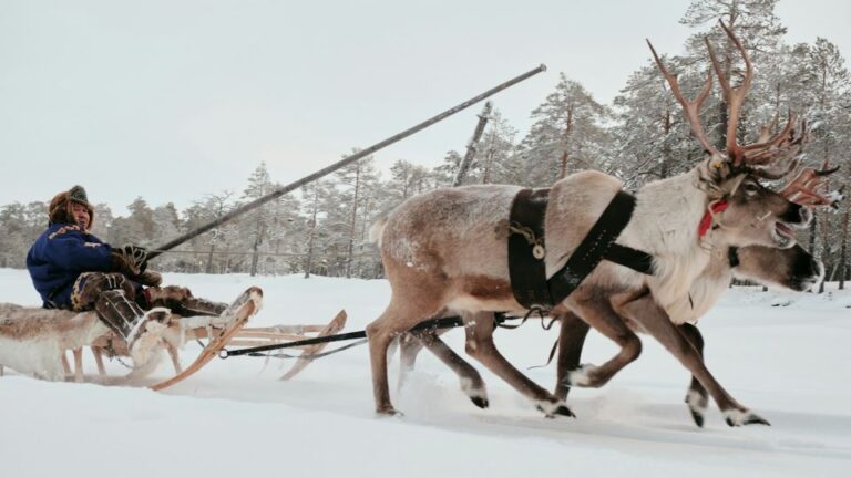 7 vinteraktiviteter du måste testa i Skandinavien!