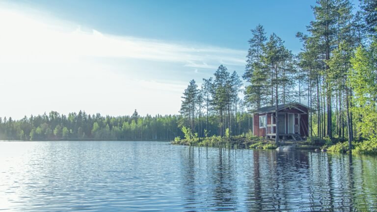 Sisu och het bastu. Hur överlever man vintern på finska?